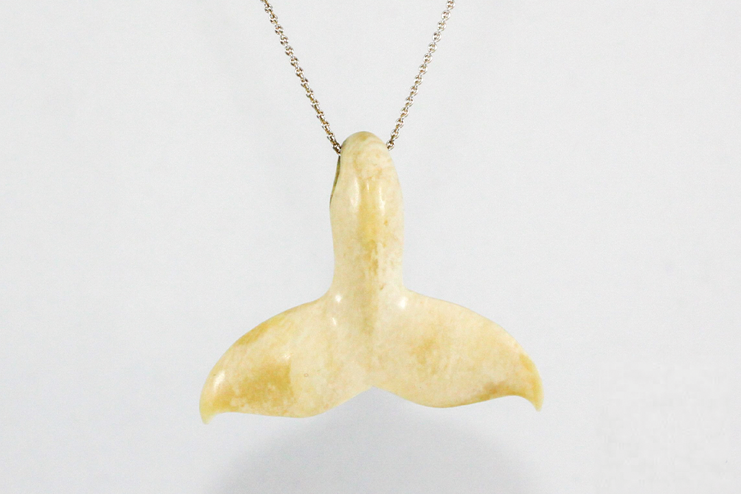 A close up of a beige fossil whale tail pendant attached to a silver chain against a white background.
